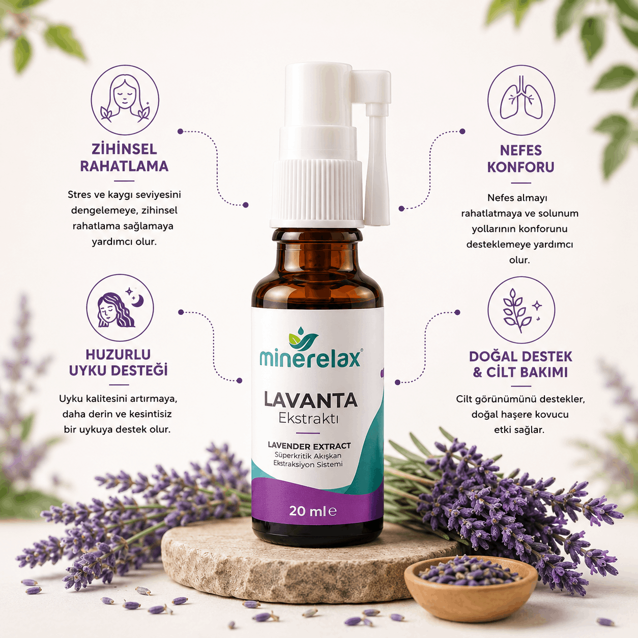 Lavanta