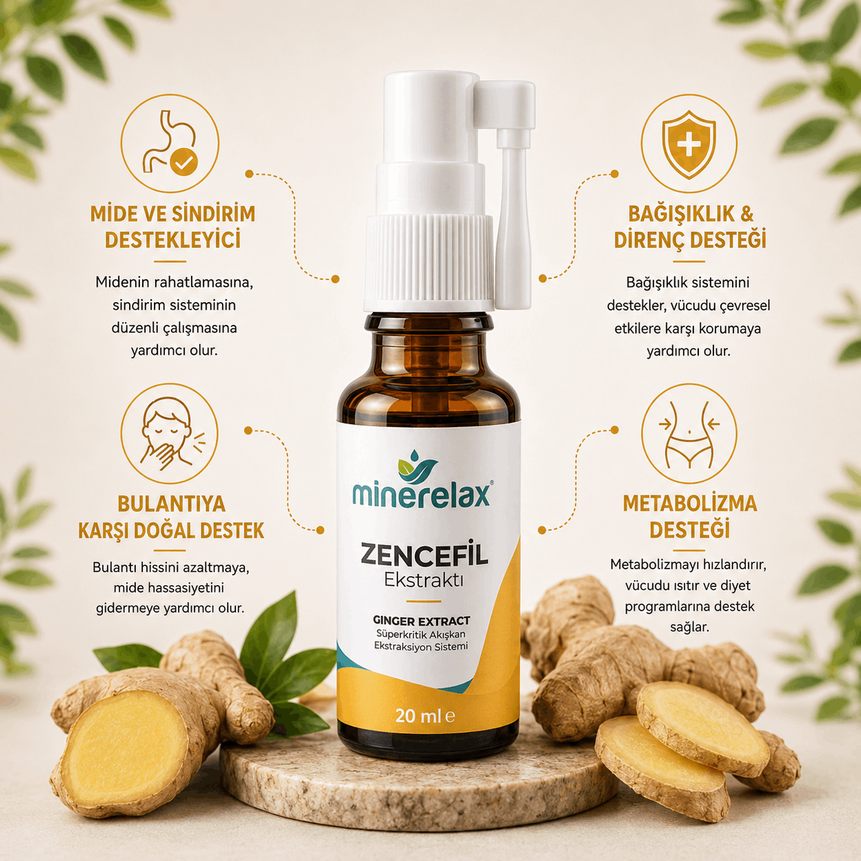 Zencefil